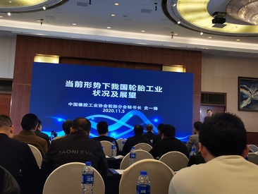 大连瑞源动力股份有限公司参与上海有色网氧化锌大会并发言